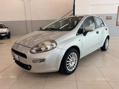 Fiat Punto 1.3 MJT II 75 CV 5 porte Street