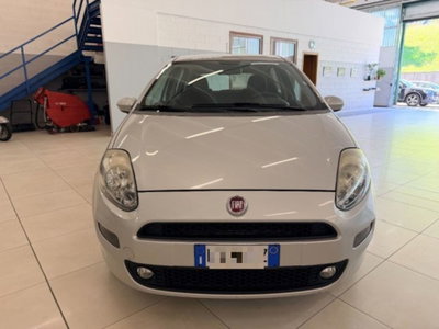 Fiat Punto 1.3 MJT II 75 CV 5 porte Street (2)