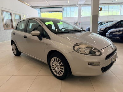 Fiat Punto 1.3 MJT II 75 CV 5 porte Street (3)