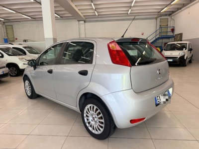 Fiat Punto 1.3 MJT II 75 CV 5 porte Street (7)