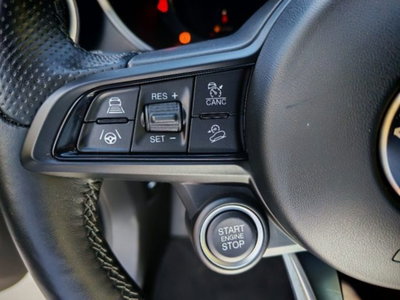 Alfa Romeo Stelvio Stelvio 2.2 Turbodiesel 210 CV AT8 Q4 Ti (13)