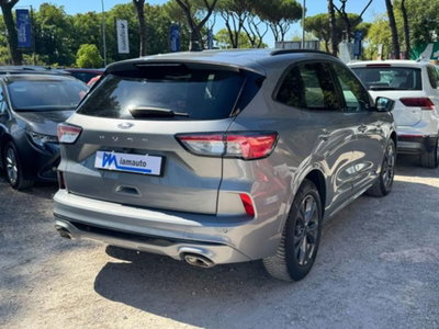 Ford Kuga 1.5 EcoBlue 120 CV 2WD ST-Line (2)