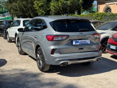 Ford Kuga 1.5 EcoBlue 120 CV 2WD ST-Line (3)