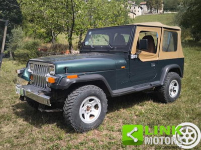 Jeep Wrangler 2.5 cat Soft top (EU) (15)