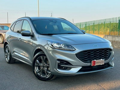 Ford Kuga 2.0 EcoBlue 120 CV aut. 2WD ST-Line X usata