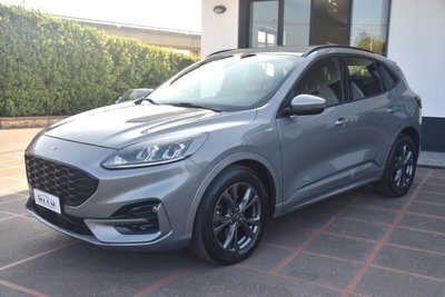Ford Kuga 2.0 EcoBlue Hybrid 150 CV 2WD ST-Line (3)