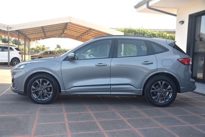 Ford Kuga 2.0 EcoBlue Hybrid 150 CV 2WD ST-Line (4)
