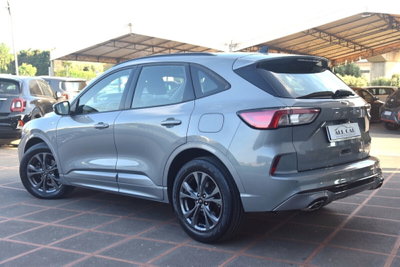 Ford Kuga 2.0 EcoBlue Hybrid 150 CV 2WD ST-Line (5)