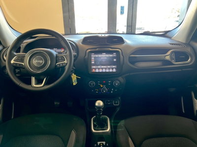 Jeep Renegade 1.6 Mjt 130 CV Limited (12)