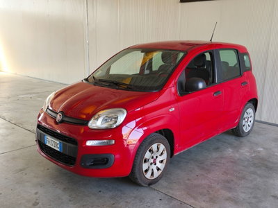 Fiat Panda 1.2 Easy usata