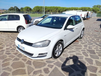 Volkswagen Golf 1.4 TGI 5p. Highline BlueMotion usata