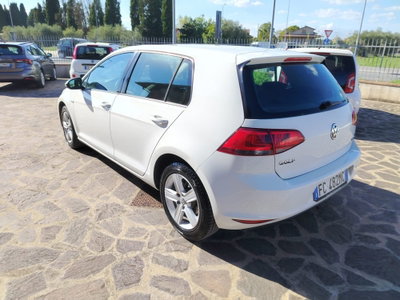 Volkswagen Golf 1.4 TGI 5p. Highline BlueMotion (6)