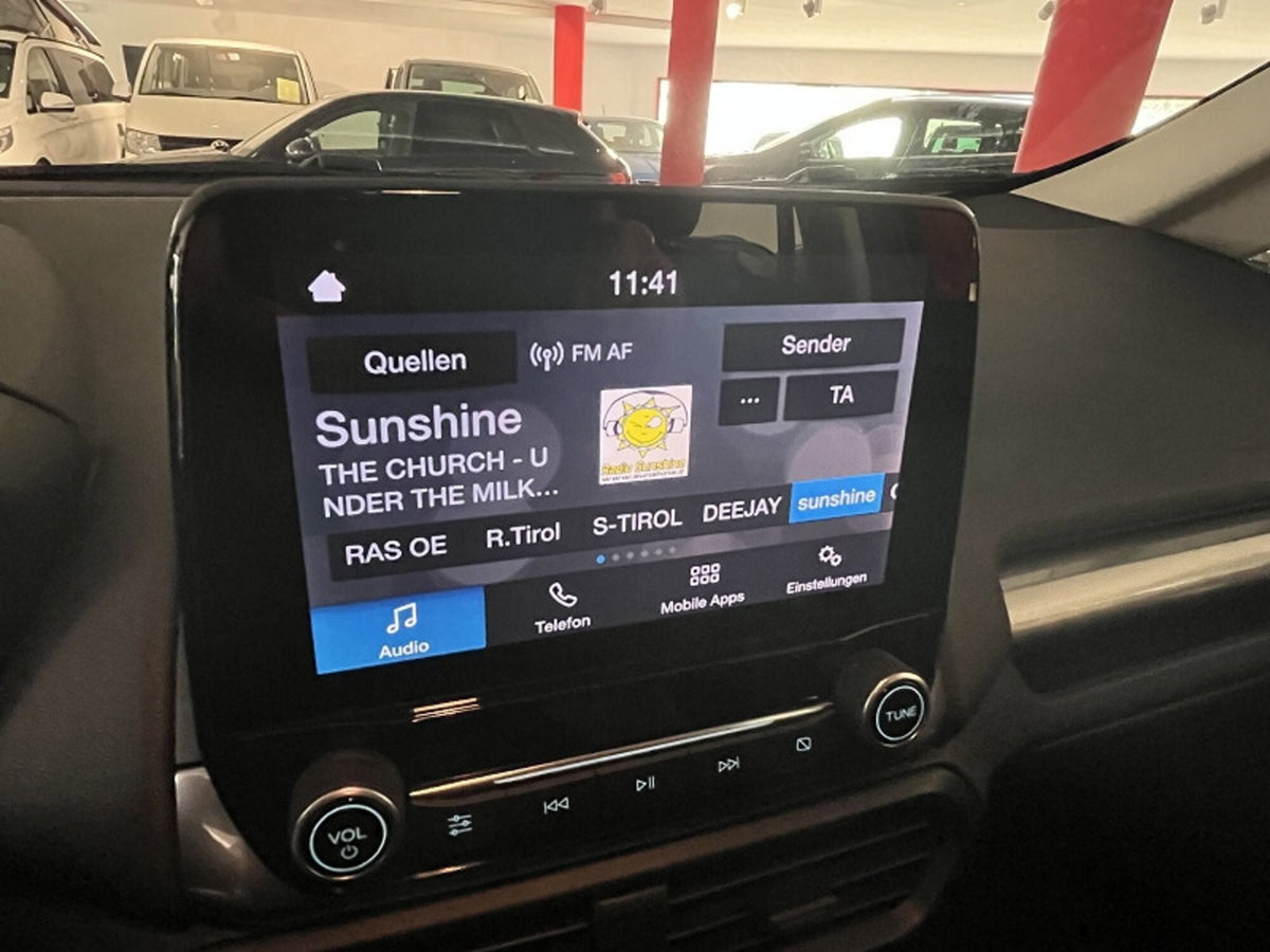 Ford EcoSport 1.5 TDCi 100 CV Start&Stop Plus (13)