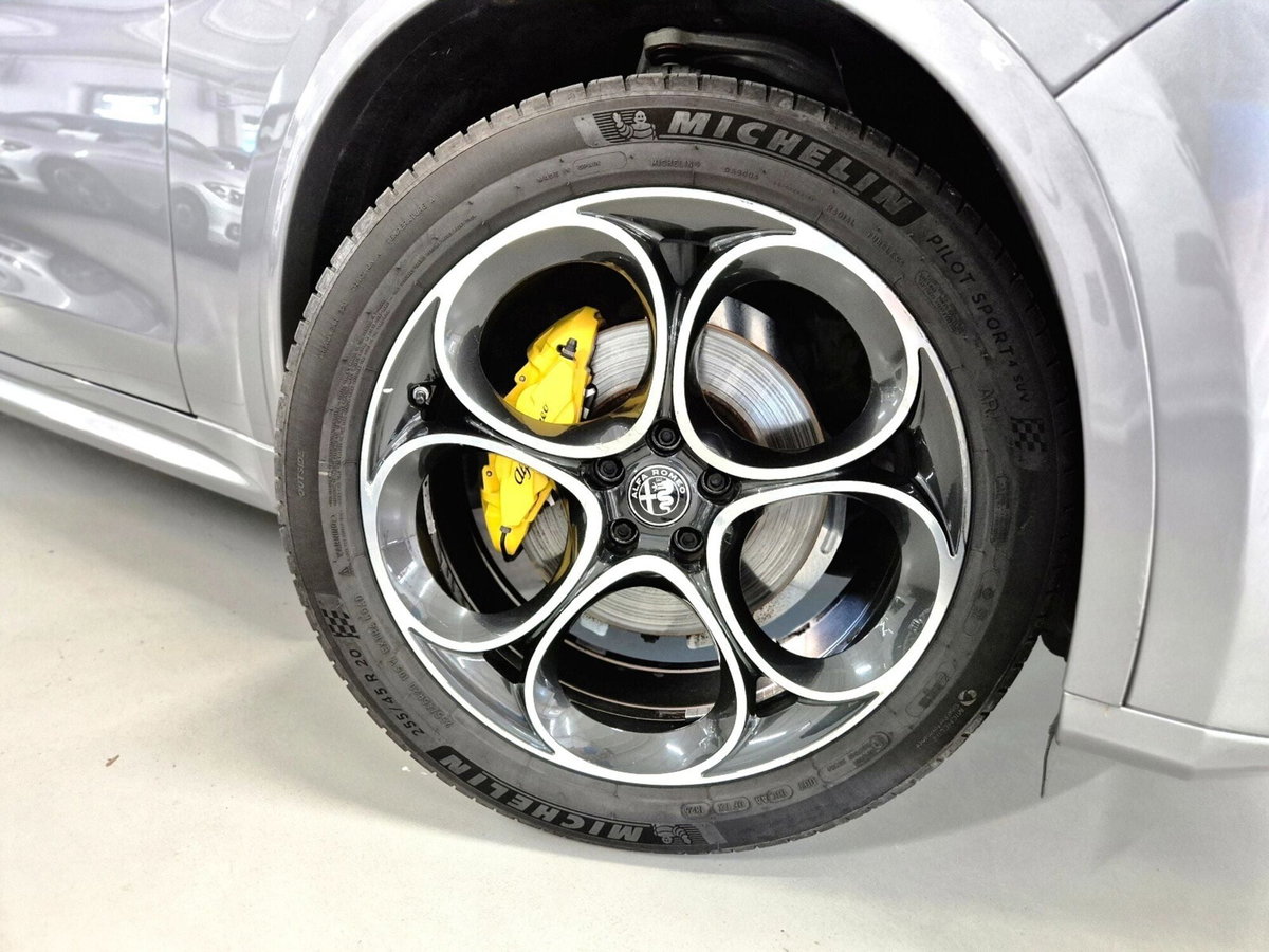 Alfa Romeo Stelvio Stelvio 2.2 Turbodiesel 210 CV AT8 Q4 Veloce Tì (16)