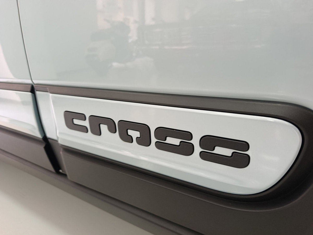 Fiat Panda 1.0 FireFly S&S Hybrid City Cross (17)