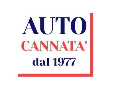 Volkswagen Polo 1.4 TDI 5p. Comfortline BlueMotion Technology (12)
