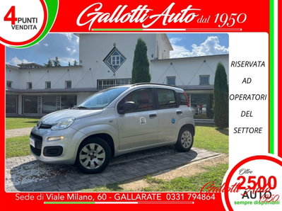 Fiat Panda 1.2 Easy usata