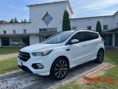 Ford Kuga 2.0 TDCI 150 CV S&S 4WD Powershift ST-Line (4)