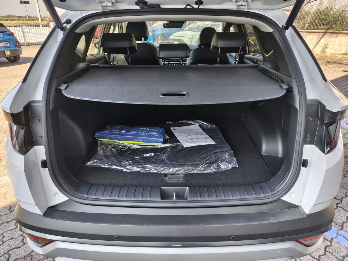 Hyundai Tucson 1.6 hev Exellence 4wd 239cv auto (18)