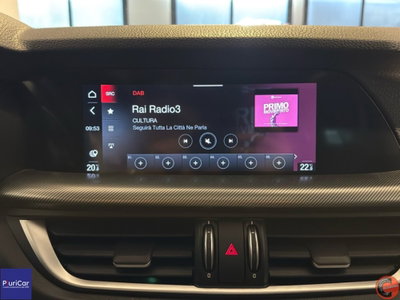 Alfa Romeo Stelvio Stelvio 2.2 Turbodiesel 190 CV AT8 Q4 Sprint (12)