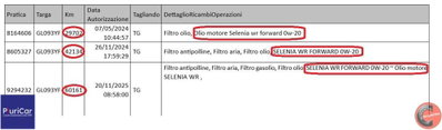 Alfa Romeo Stelvio Stelvio 2.2 Turbodiesel 190 CV AT8 Q4 Sprint (15)