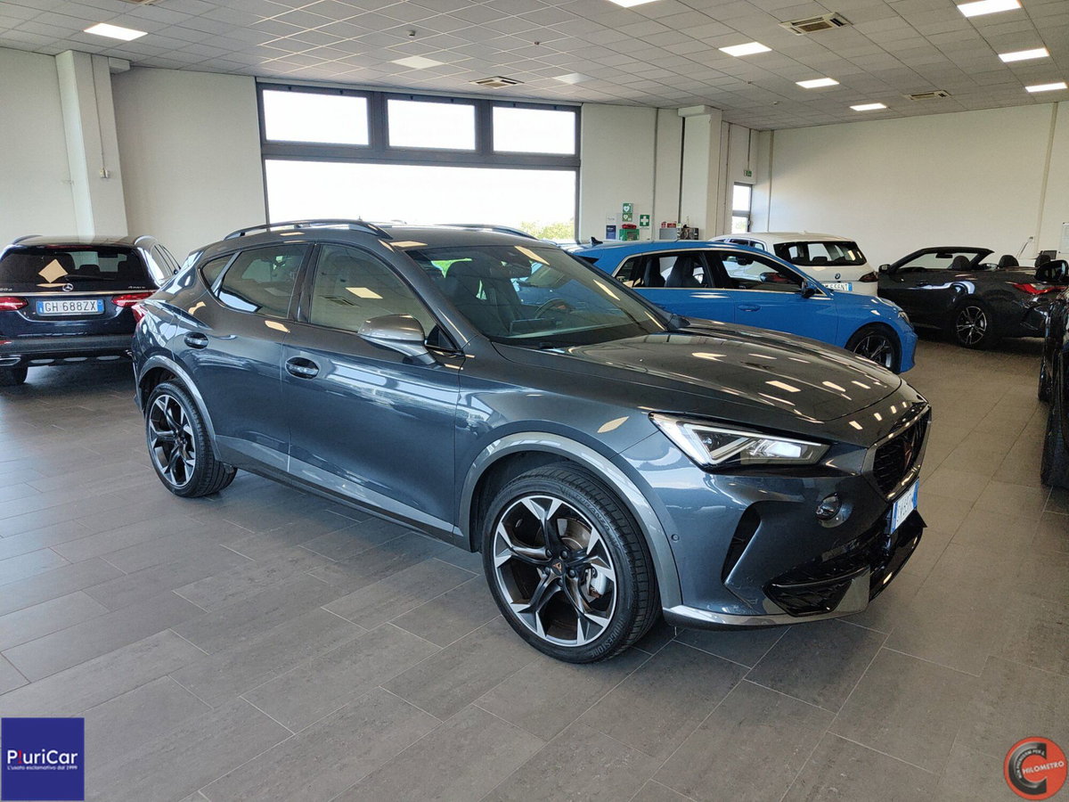 Cupra Formentor Formentor 2.0 tdi 4drive 150cv dsg (2)