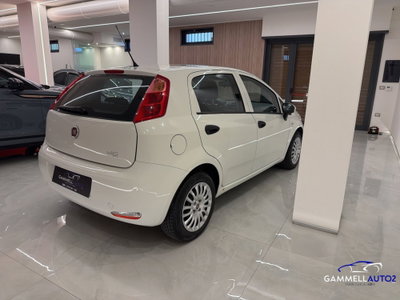 Fiat Punto Evo 1.3 MJT 95 DPF S&S 5p.Van Dynamic (17)