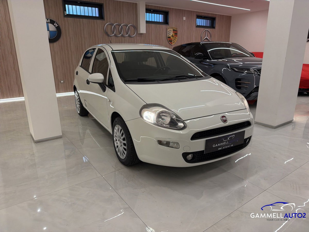 Fiat Punto Evo 1.3 MJT 95 DPF S&S 5p.Van Dynamic (2)