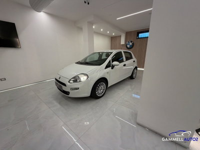 Fiat Punto Evo 1.3 MJT 95 DPF S&S 5p.Van Dynamic (4)