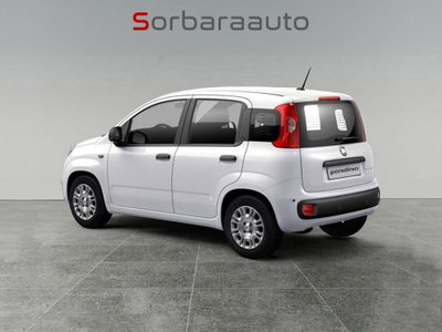 Fiat Pandina 1.0 firefly hybrid Pop s&s 65cv (4)