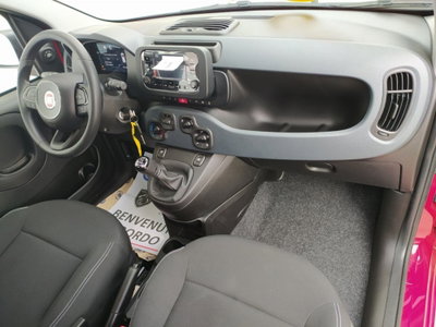 Fiat Panda Cross Cross 1.0 FireFly S&S Hybrid (16)