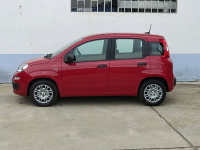 Fiat Panda Cross Cross 1.0 FireFly S&S Hybrid (3)