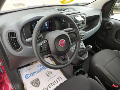 Fiat Panda Cross Cross 1.0 FireFly S&S Hybrid (4)