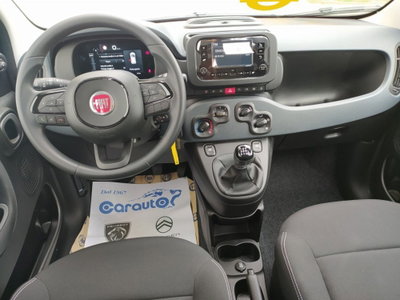 Fiat Panda Cross Cross 1.0 FireFly S&S Hybrid (8)