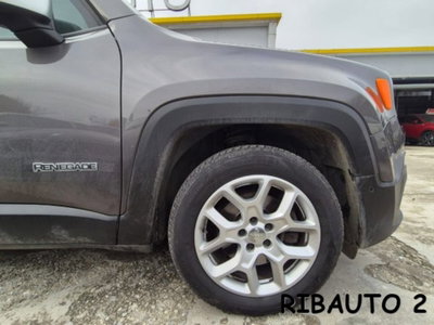 Jeep Renegade 1.6 Mjt 120 CV Limited (3)