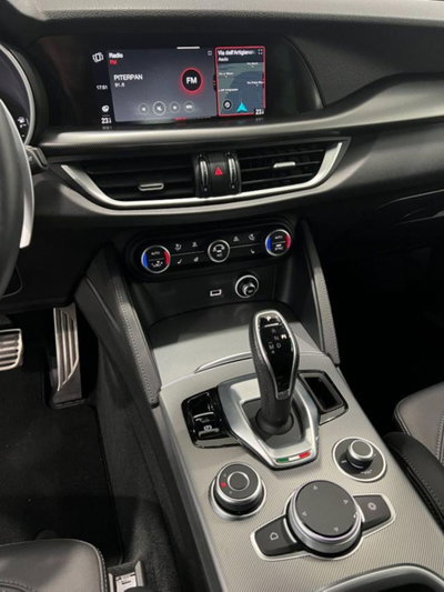 Alfa Romeo Stelvio Stelvio 2.2 Turbodiesel 210 CV AT8 Q4 Veloce (15)