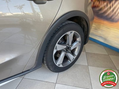 Ford Focus 1.5 EcoBlue 120 CV 5p. Active (15)