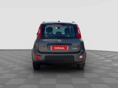 Fiat Panda 1.0 FireFly S&S Hybrid City Cross (4)