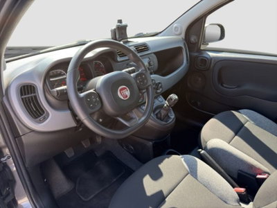 Fiat Panda 1.0 FireFly S&S Hybrid City Cross (9)
