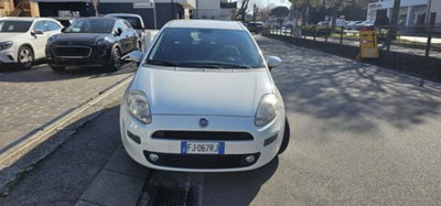 Fiat Punto 1.3 MJT II S&S 95 CV 5 porte Street (4)
