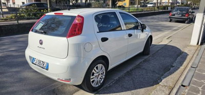 Fiat Punto 1.3 MJT II S&S 95 CV 5 porte Street (6)