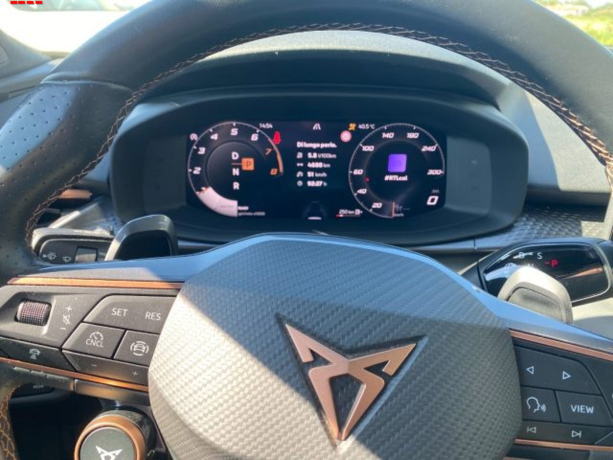 Cupra Terramar 1.5 hybrid 150cv dsg (11)