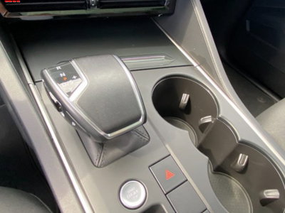 Volkswagen Touareg 3.0 V6 TDI 286 CV SCR Elegance (12)
