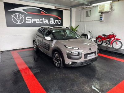 Citroen C4 Cactus BlueHDi 100 Rip Curl (2)