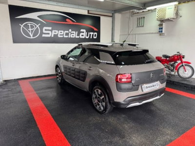 Citroen C4 Cactus BlueHDi 100 Rip Curl (4)