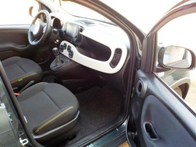 Fiat Panda Cross 1.0 firefly hybrid Cross s&s 70cv 5p.ti (18)