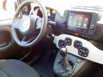 Fiat Panda Cross 1.0 firefly hybrid Cross s&s 70cv 5p.ti (19)