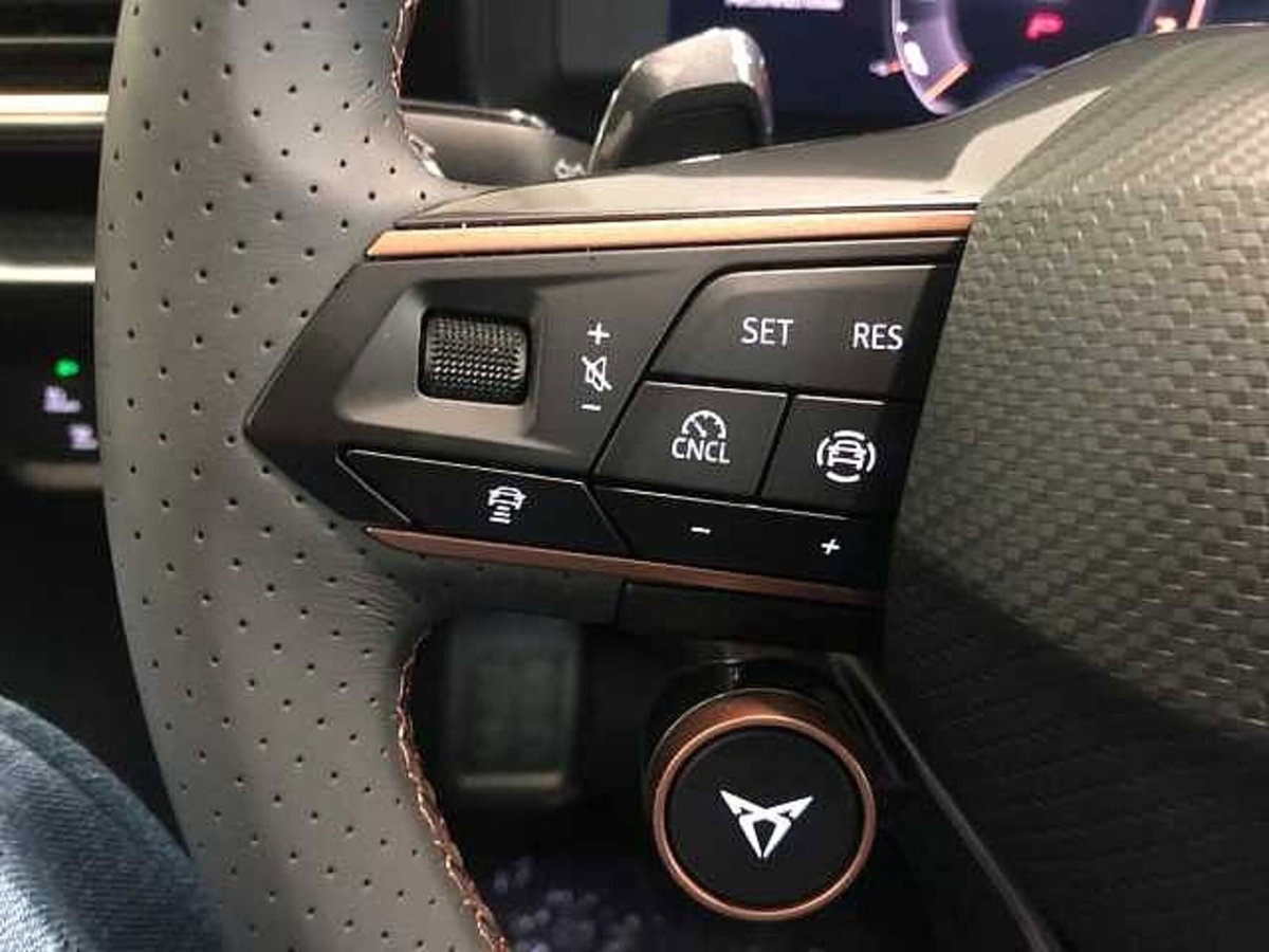 Cupra Formentor Formentor 1.5 tsi 150cv dsg (14)