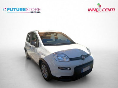 Fiat Panda 1.0 firefly hybrid s&s 70cv 5p.ti usata