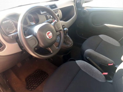 Fiat Panda 1.0 firefly hybrid s&s 70cv 5p.ti (7)